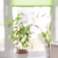 The Benefits of Whole-House Air Purifiers: An Expert's Perspective