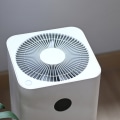 The Truth About Air Purifiers: An Expert's Perspective